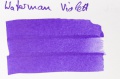 Waterman violett.jpg