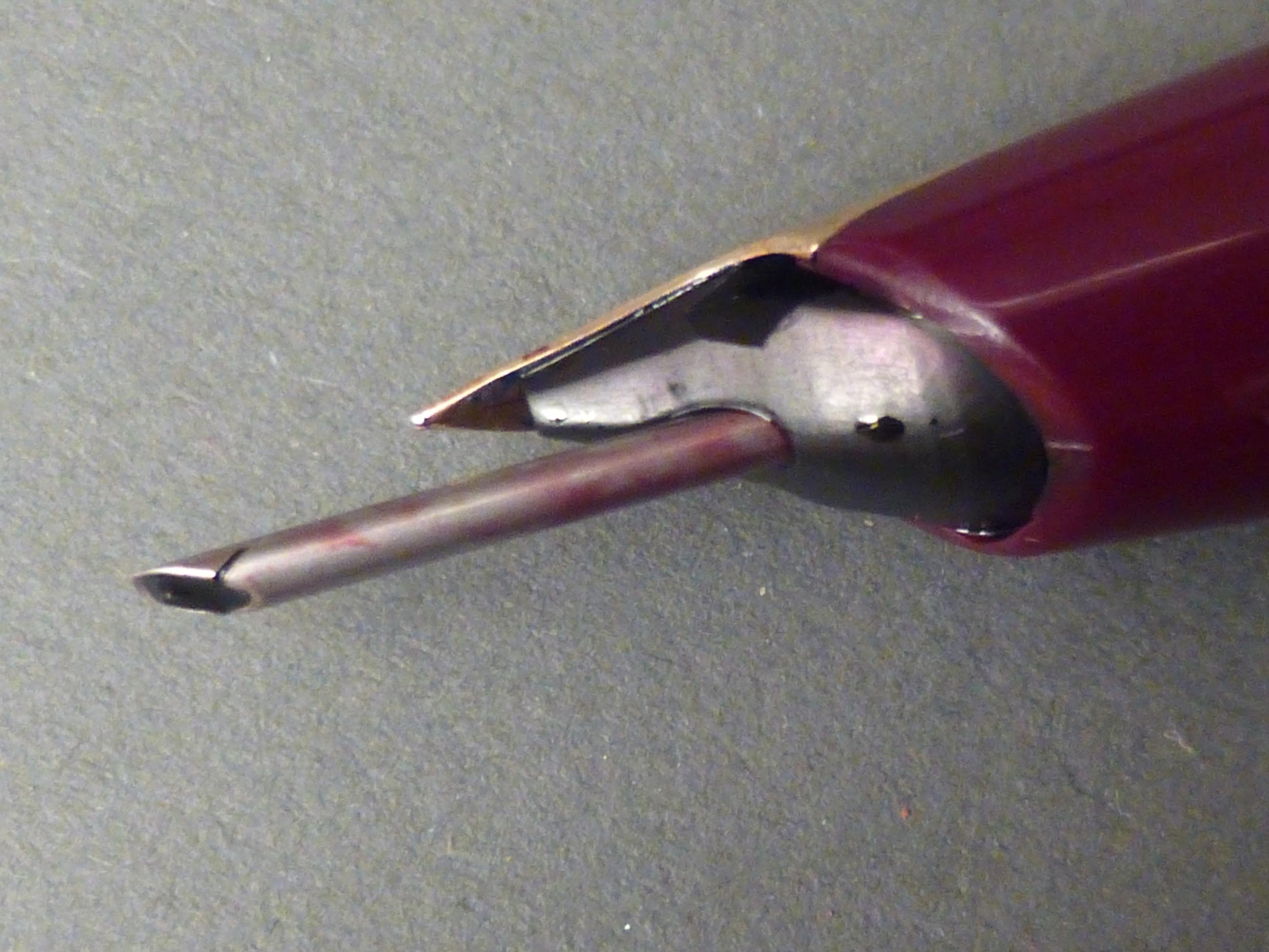 P1050551.jpg