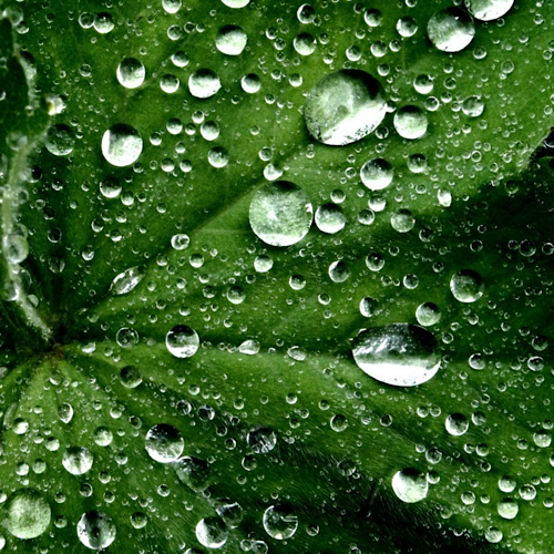 743B9D7A-F0B0-4E4F-9780-333C362603FC.png