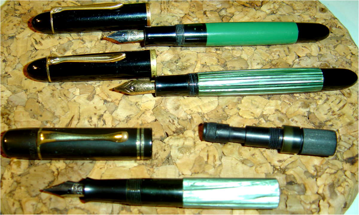Pelikan_ 120_140_100.JPG