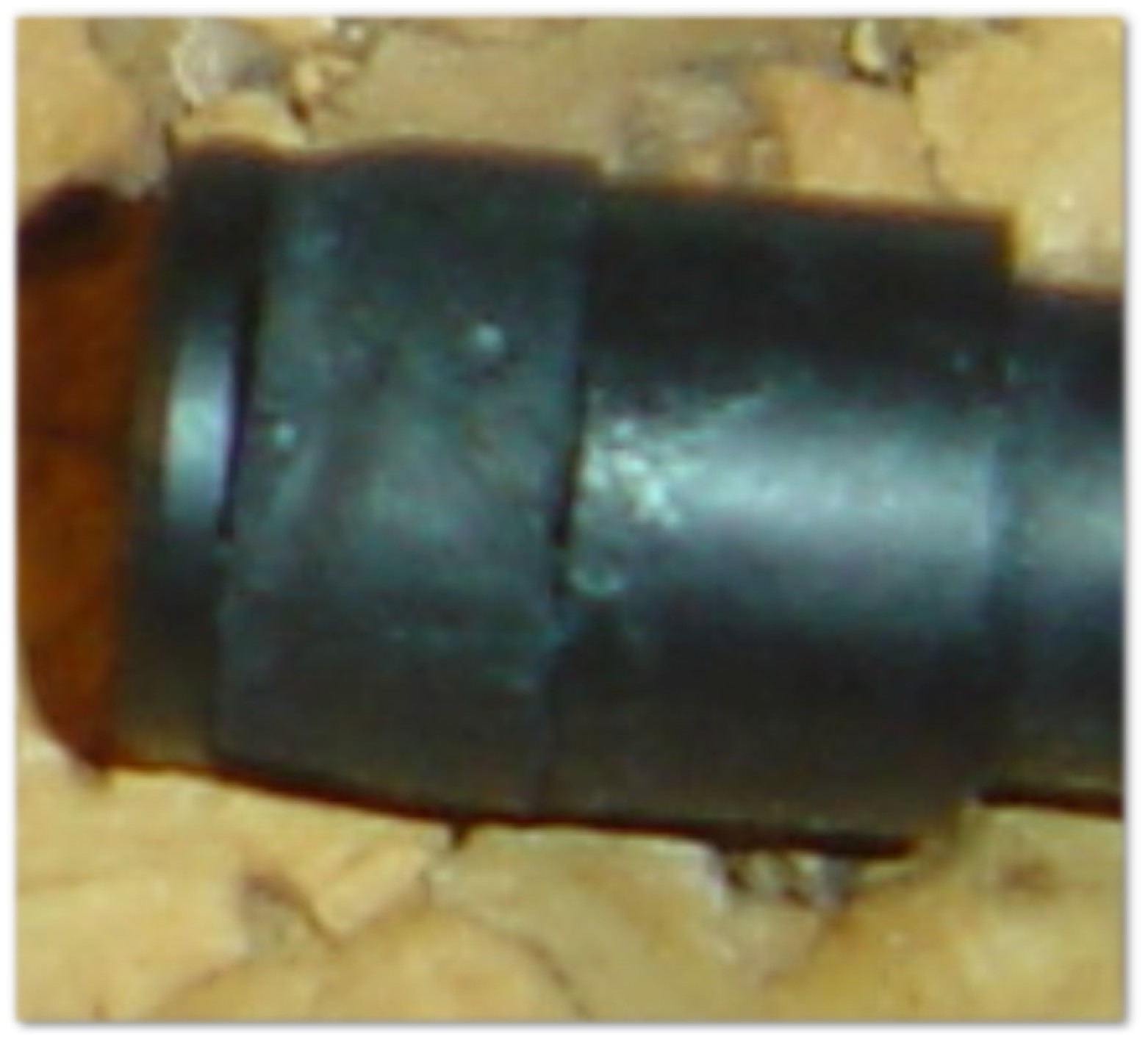 Pelikan_ 120_140_100_.JPG