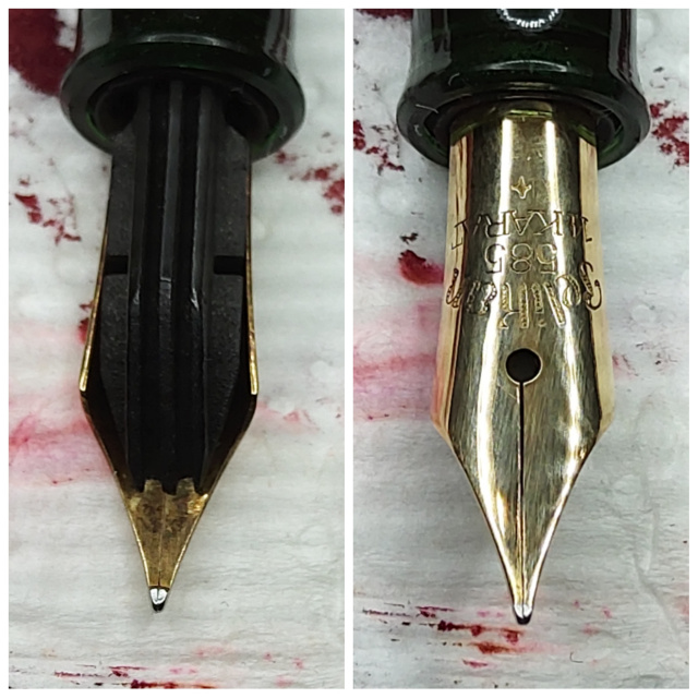 pelikan nib.jpg