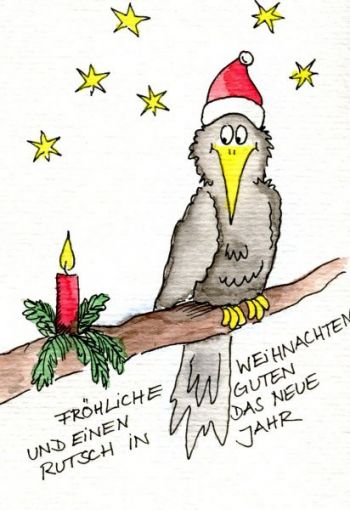 Weihnachtsamsel.jpg