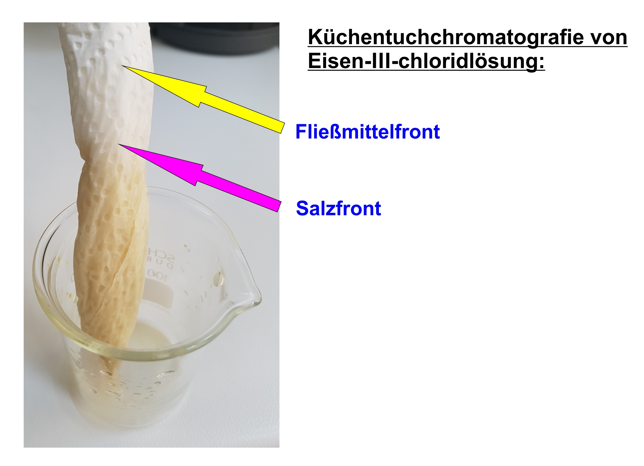 Schluderchromatografie.jpg