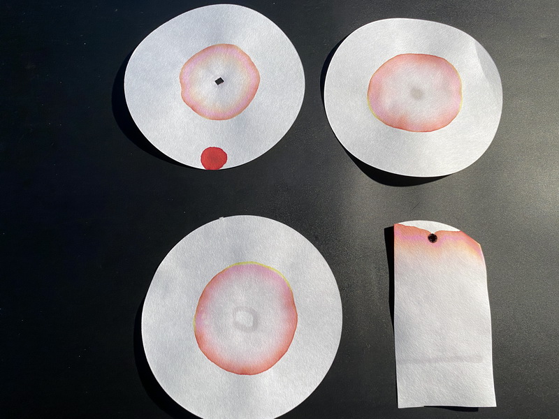 Chromatogramm.JPG