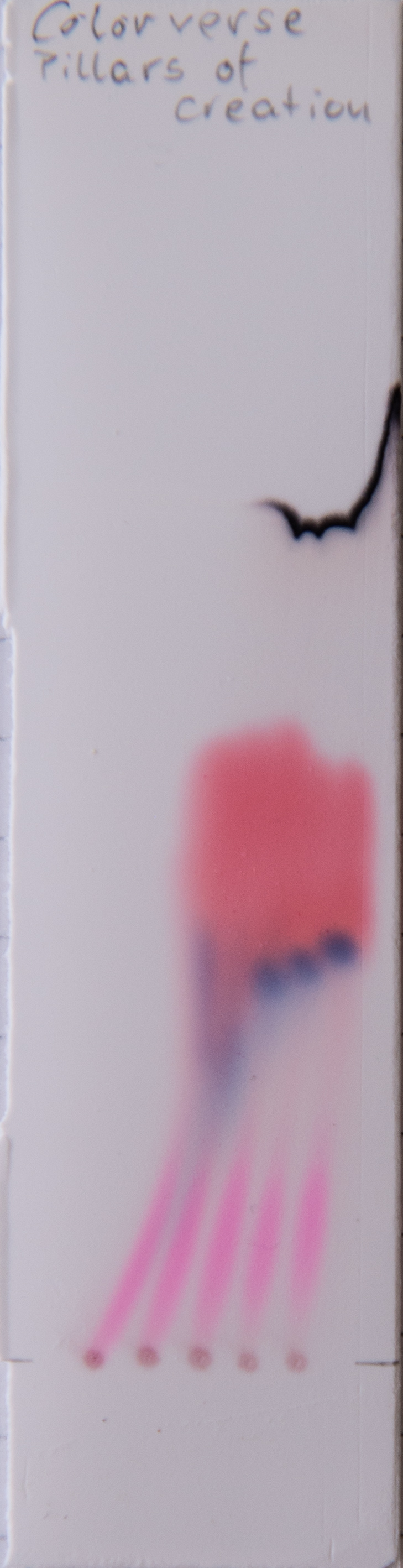 4C8F20B2-2F22-4747-857D-E5DAFA0105DF.jpeg