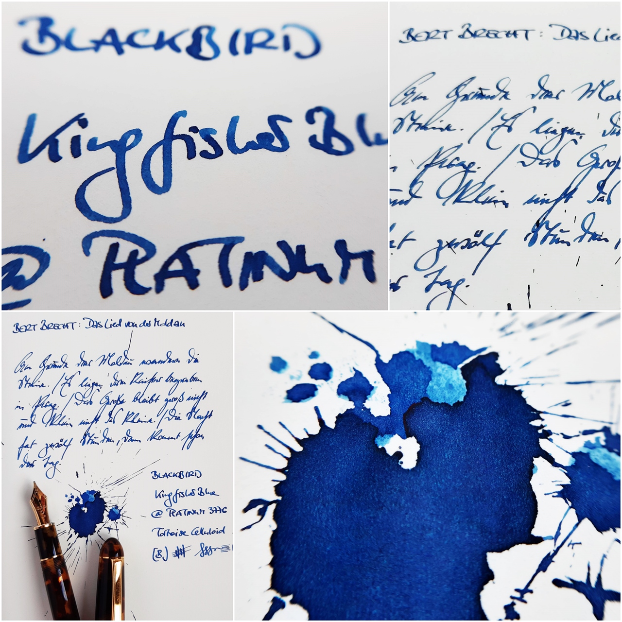 2021 09 24 Blackbird Kingfisher Blue Platinum 3776 Tortoise Celluloid IB PX.jpg