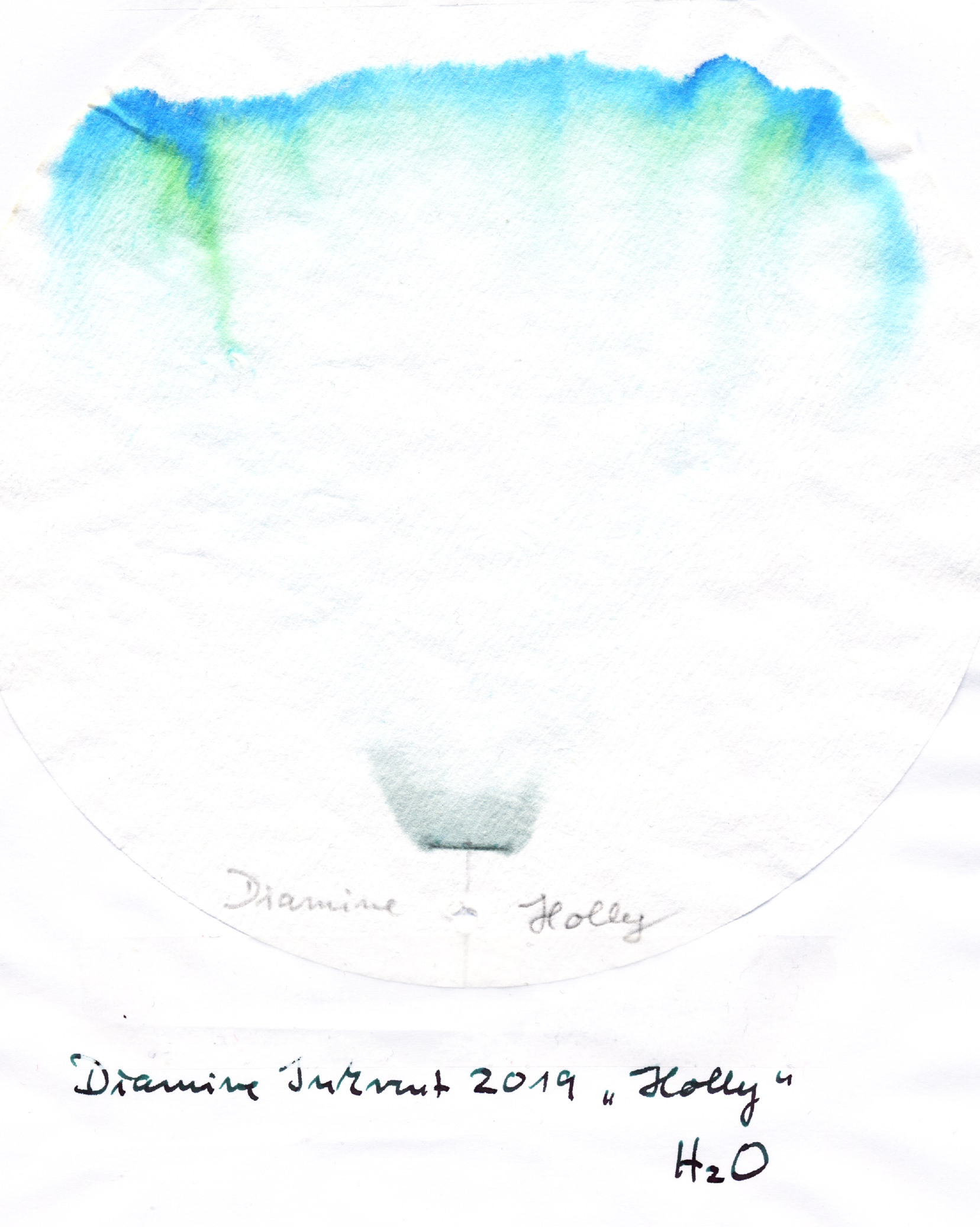 Diamine-Inkvent-2019-Holly.jpg