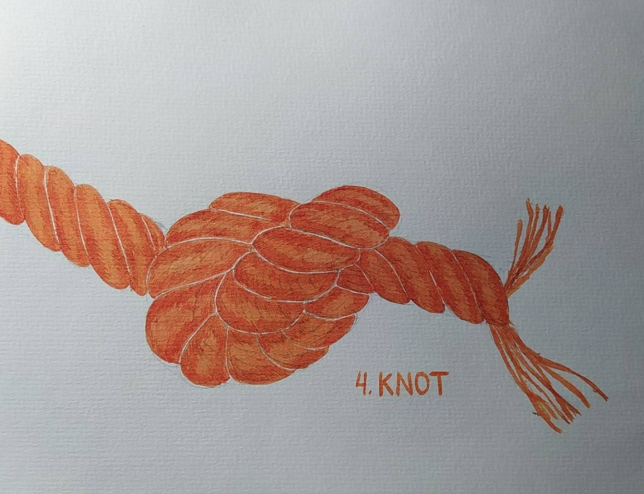 04_KNOT.jpg