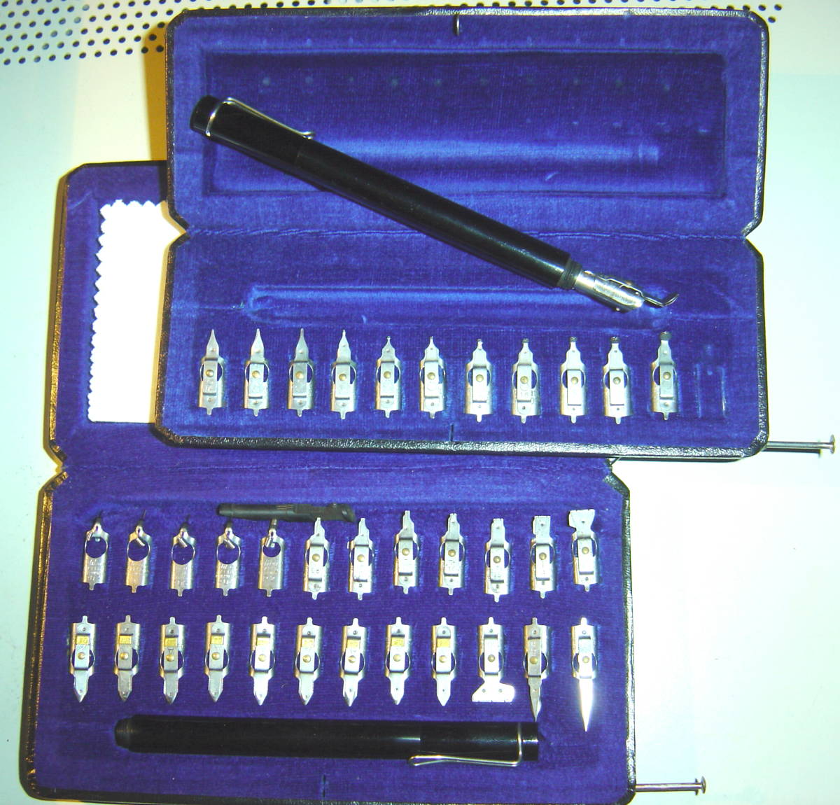 Pelikan - Graphos.JPG
