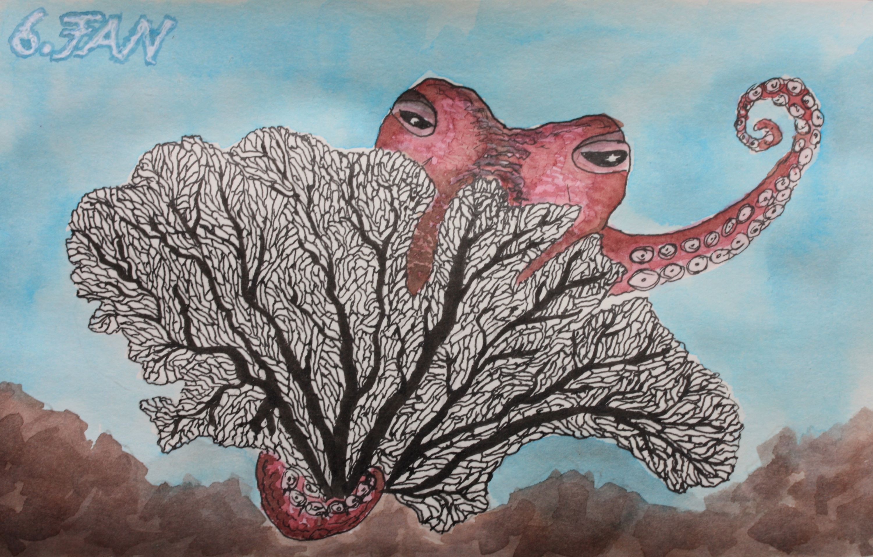Sea Fan (Fächerkoralle) (2).JPG
