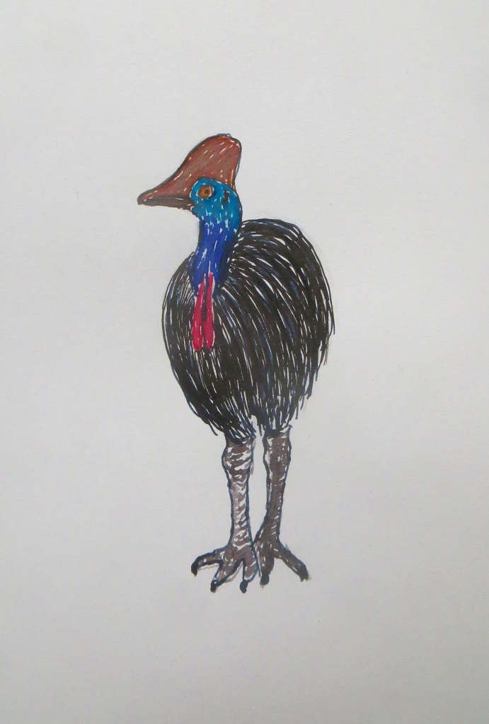 15.10.2021 Inktober HELMET (Cassowary).jpg