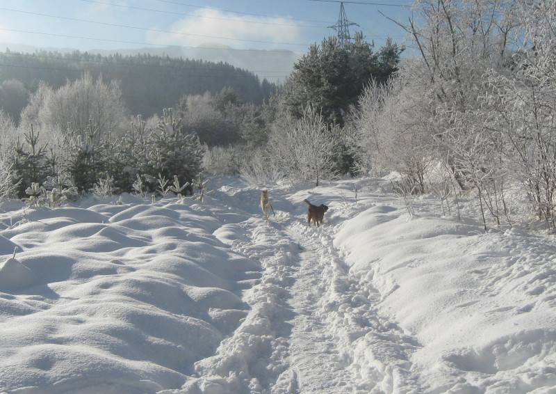 winterzauber_1.JPG