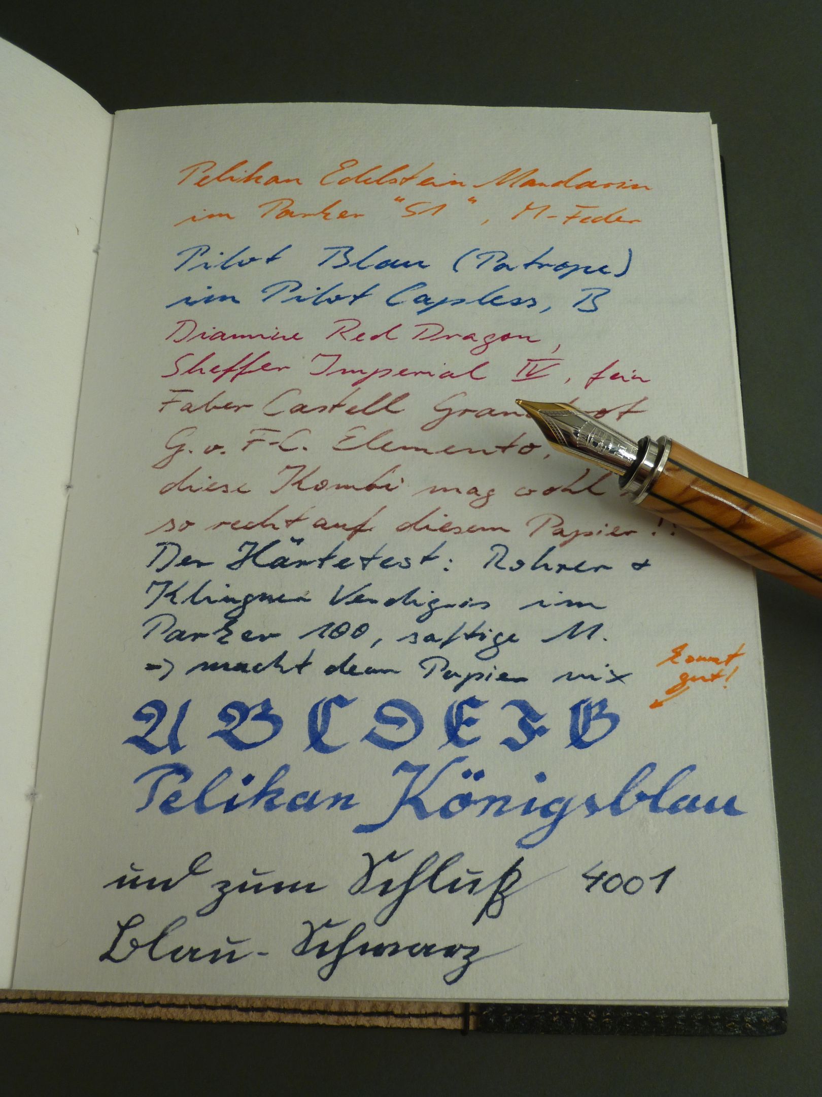 P1060015_klein.jpg