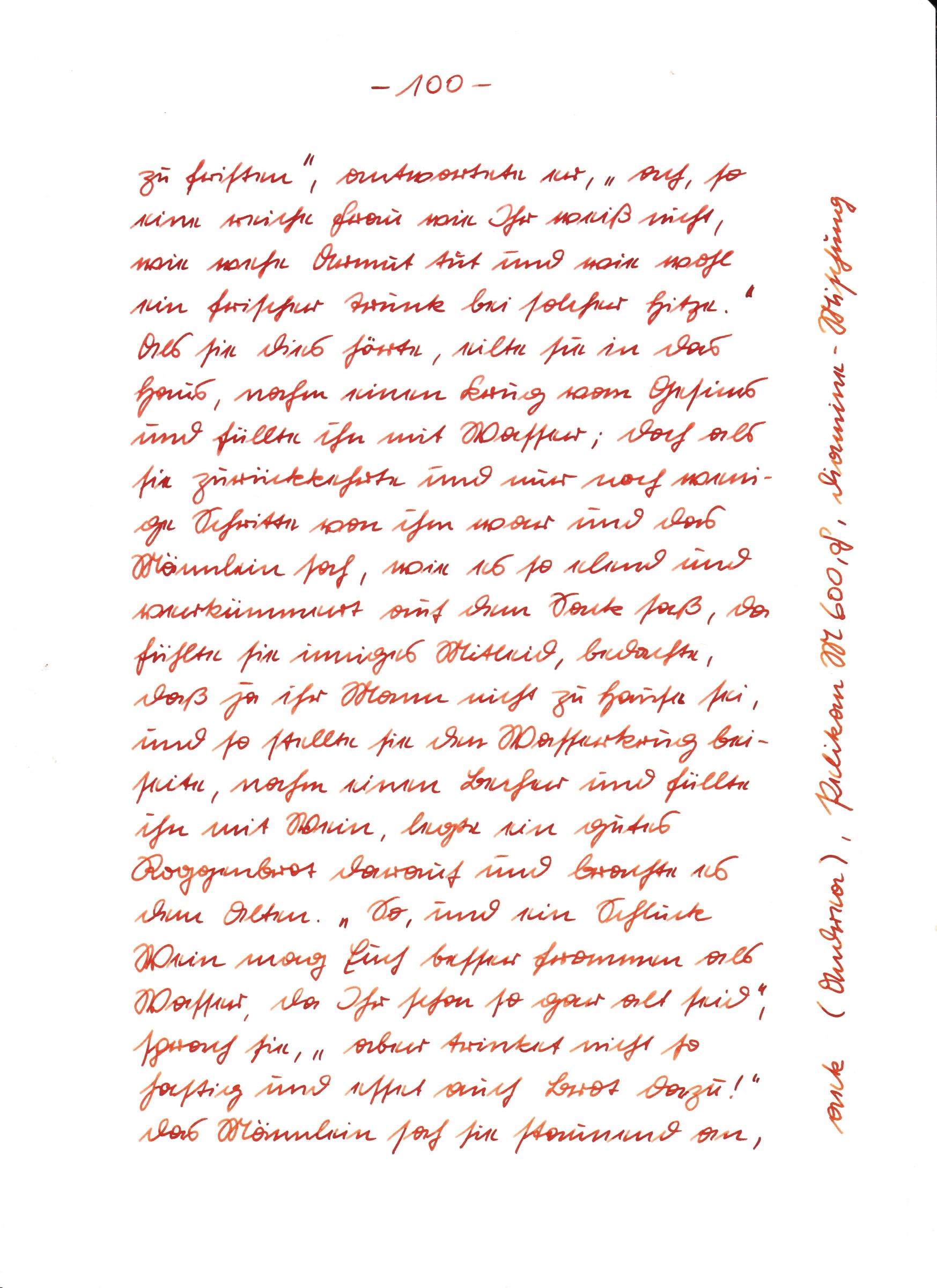 Seite 100.jpg