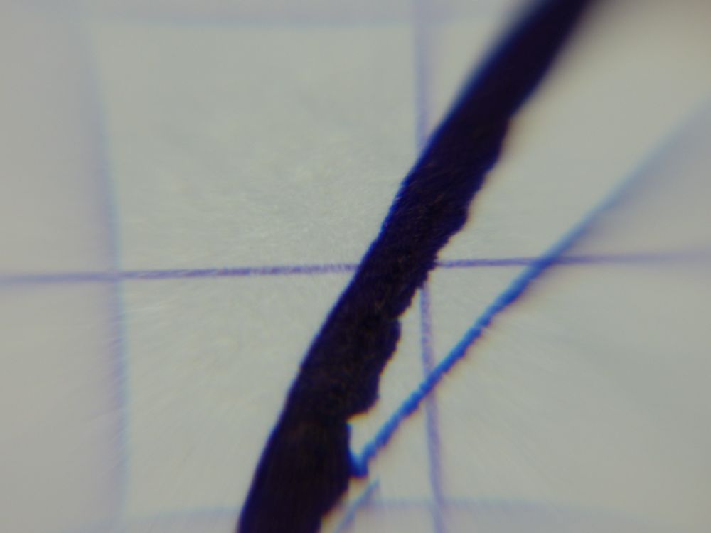 P1010121.jpg