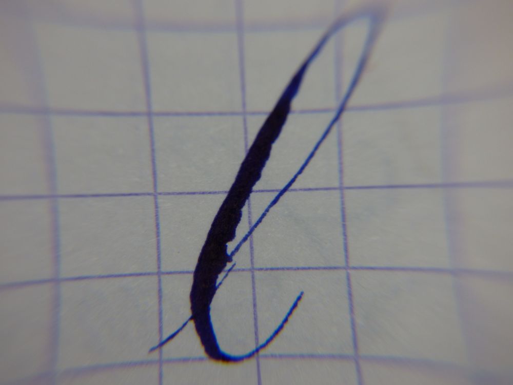 P1010118.jpg