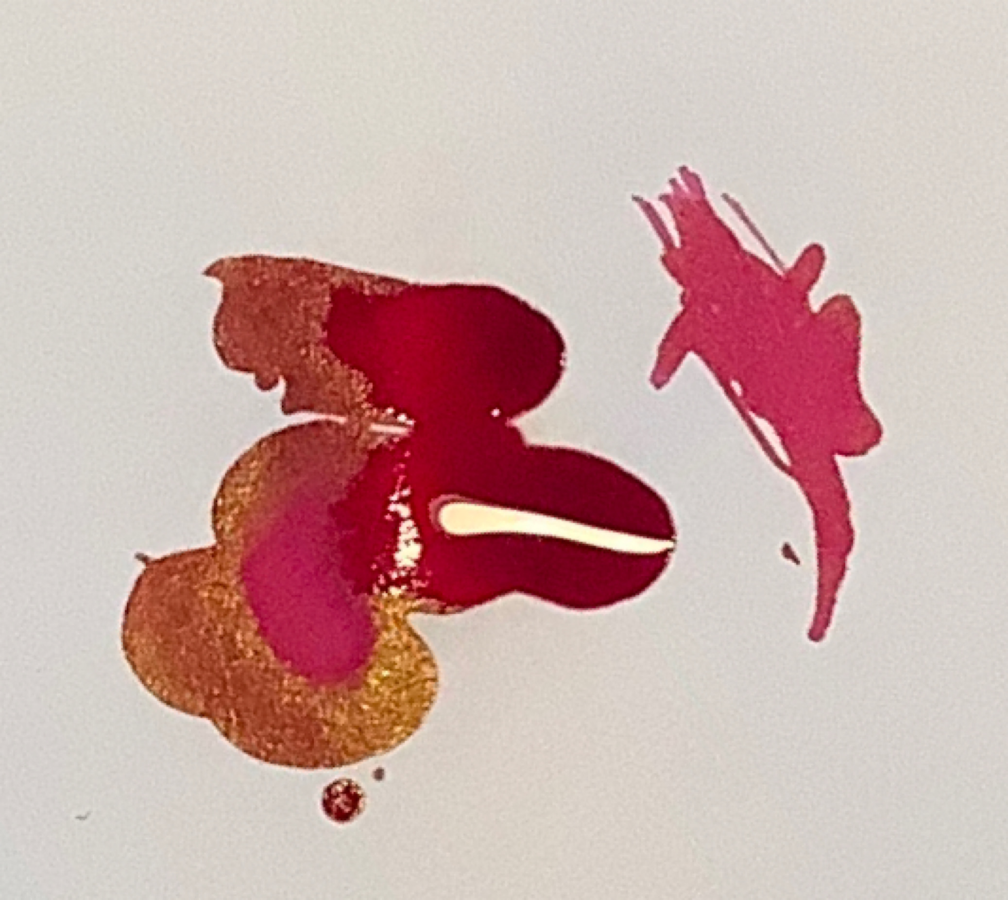 2220E36F-B0B6-44C9-818E-C81BC2B13110.jpeg