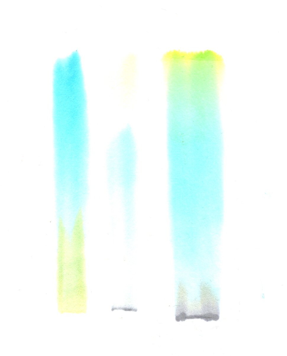 Blatt-5.jpg