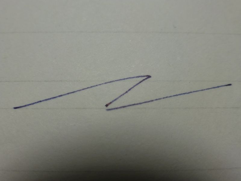 P1010139.jpg