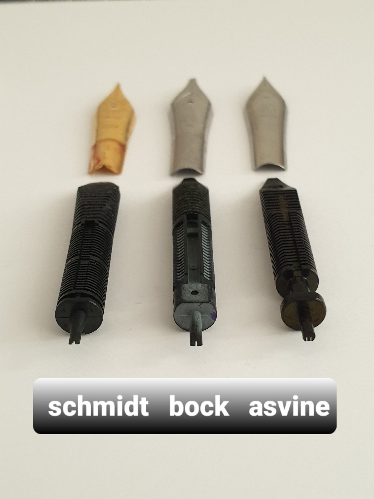 20220313_155341 Schmidt bock asvine .jpg