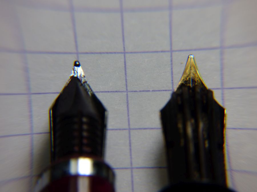 P1010153.jpg