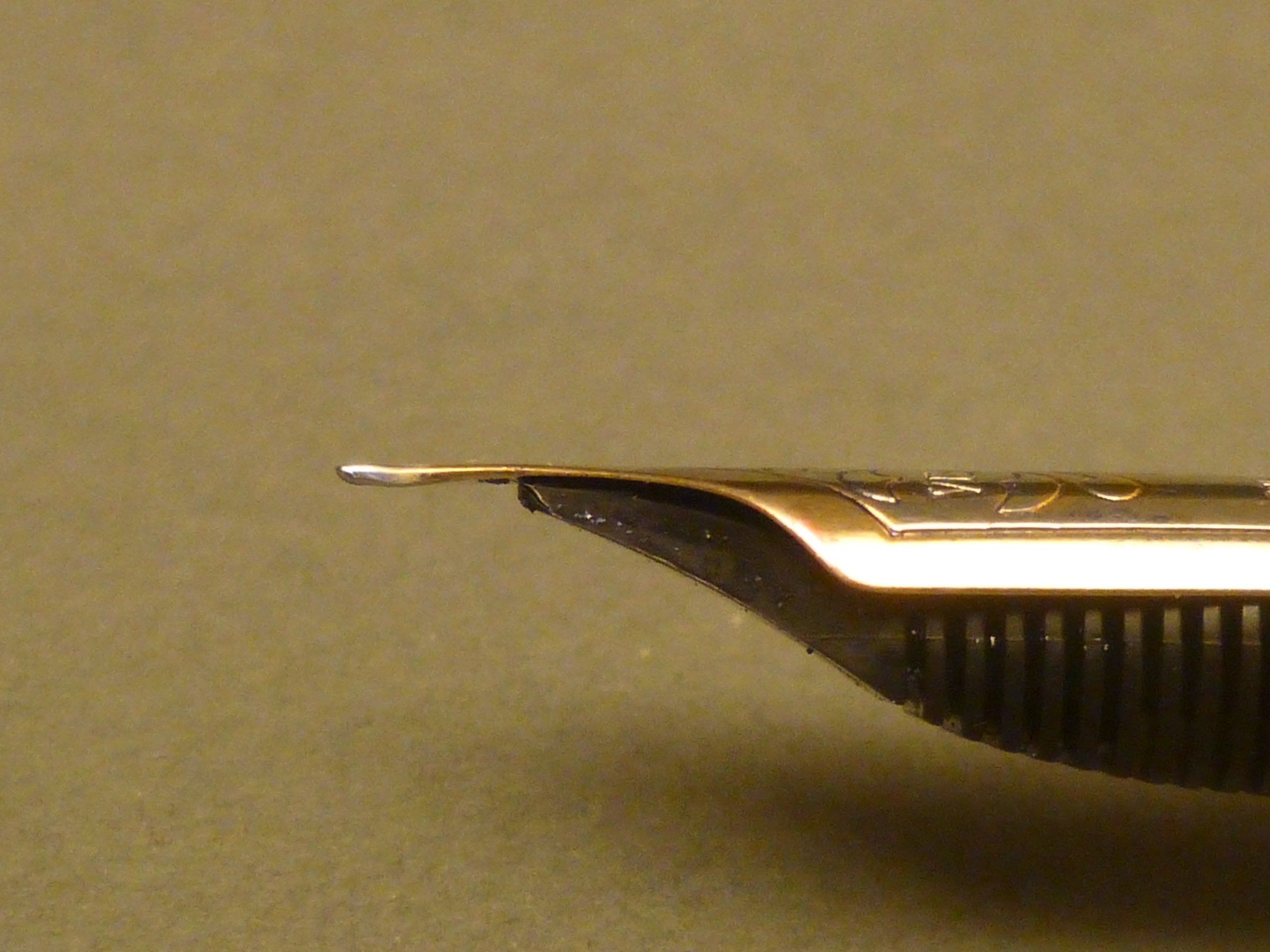 P1060373.jpg
