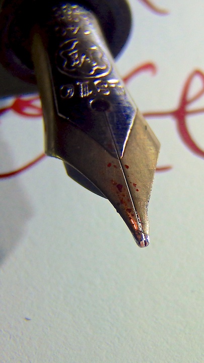 obliqueP3060846.jpg