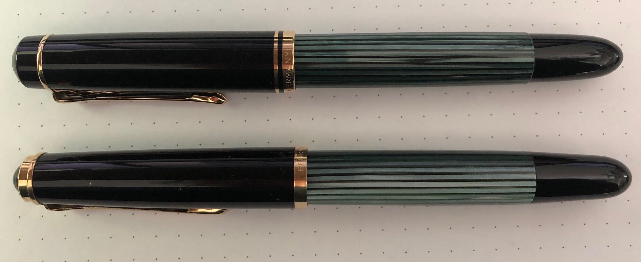 pelikan2.jpg