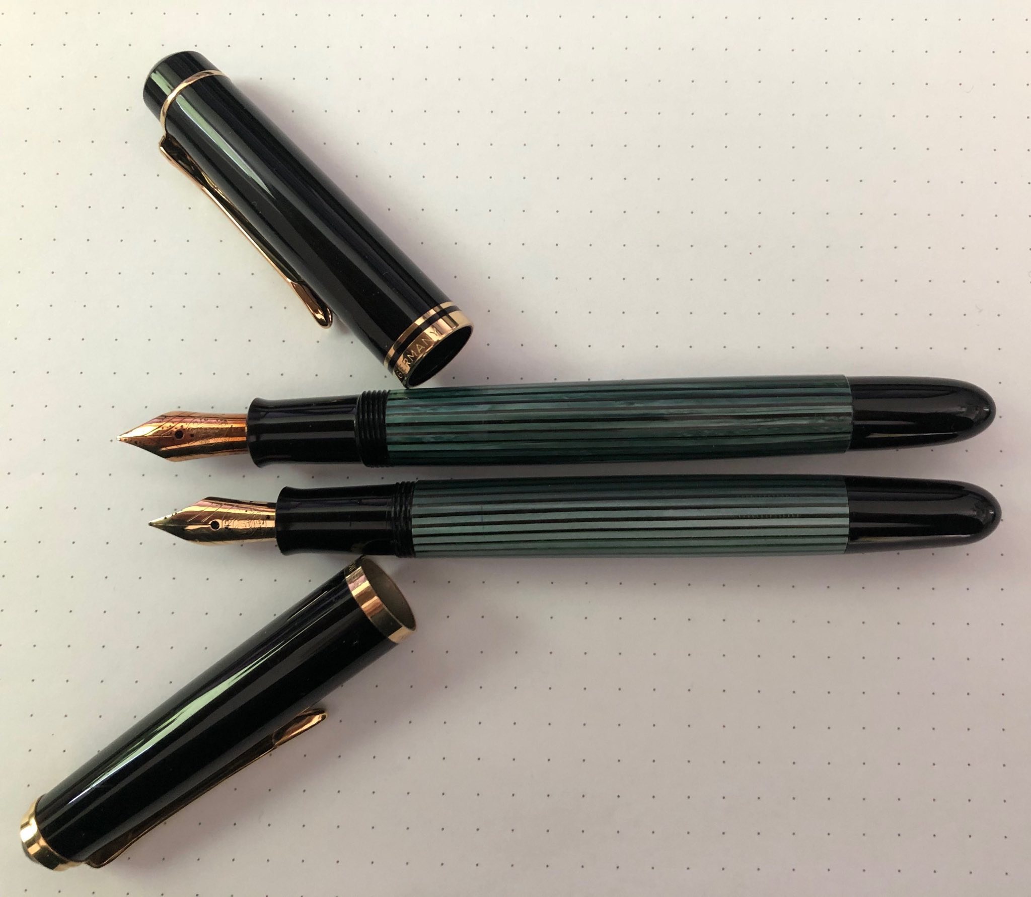 pelikan1.jpg