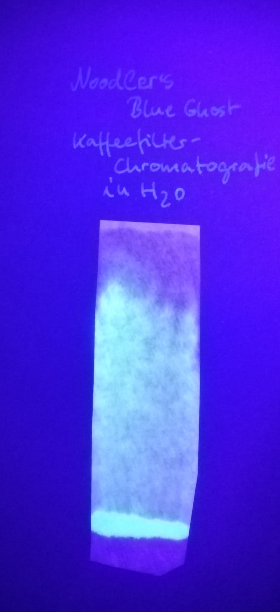 N_BlueGhost_Chromatogramm.jpg