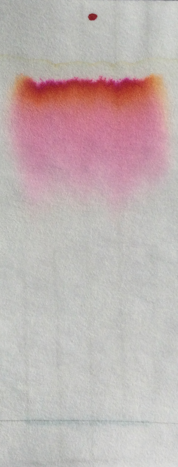 Rohrer-und-Klingner-Morinda-Chromatogramm-Wasser.jpg
