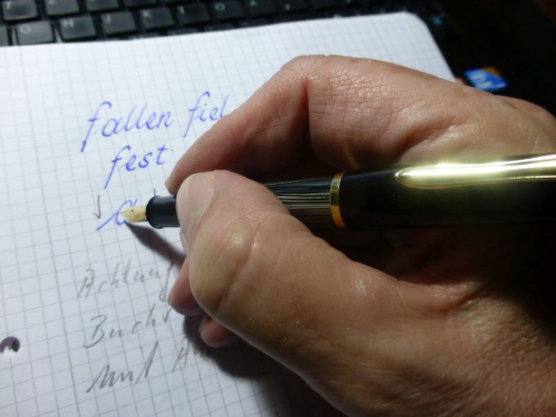 P1010319.jpg