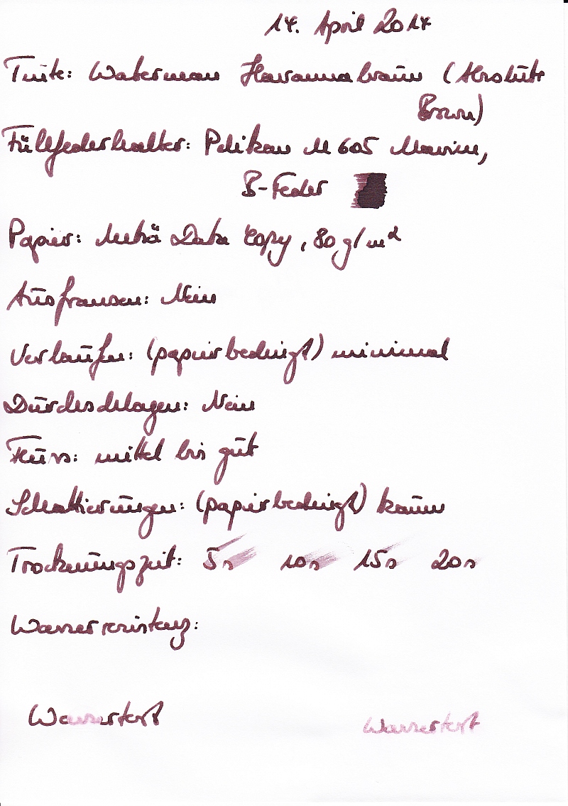 Waterman Havannabraun_0005_kleiner.jpg