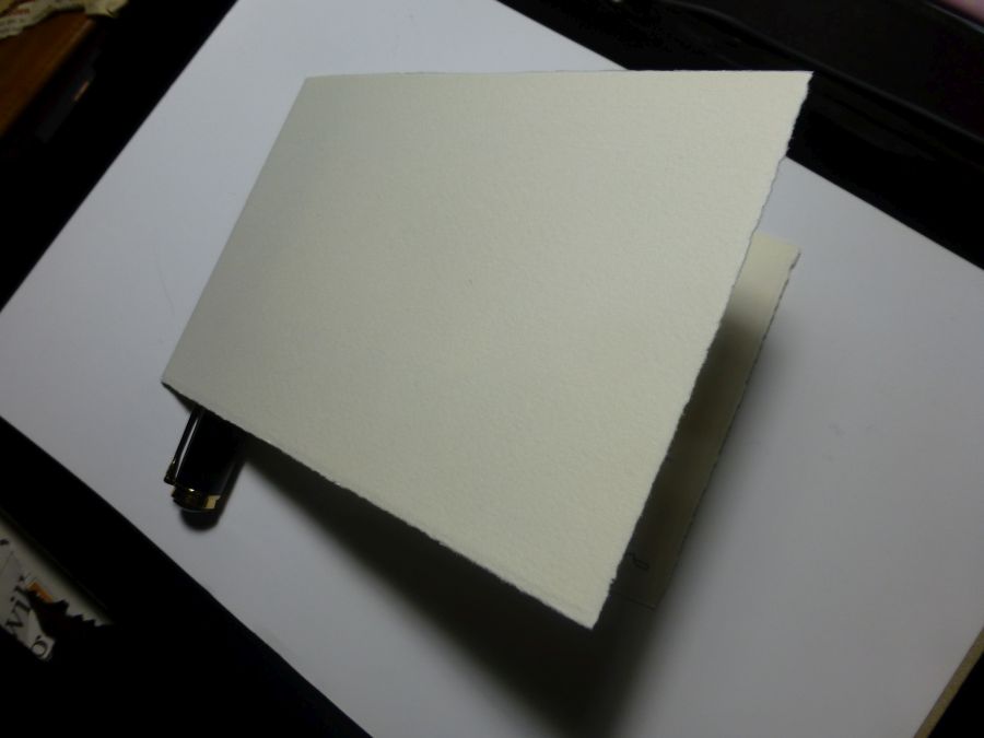 P1010377.jpg
