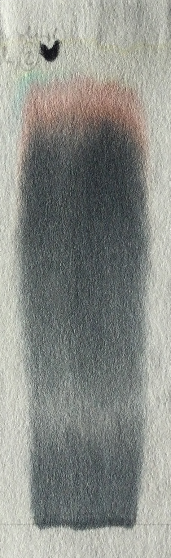 Colorverse-Check-Chromatogramm-Standard-Leitungswasser.jpg