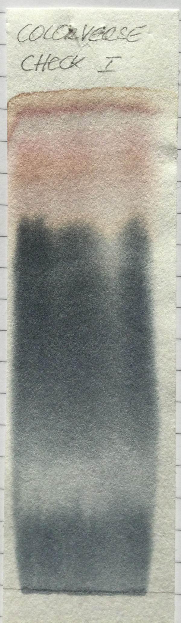 Colorverse-Check-Chromatogramm-Brunnen-Leitungswasser.jpg
