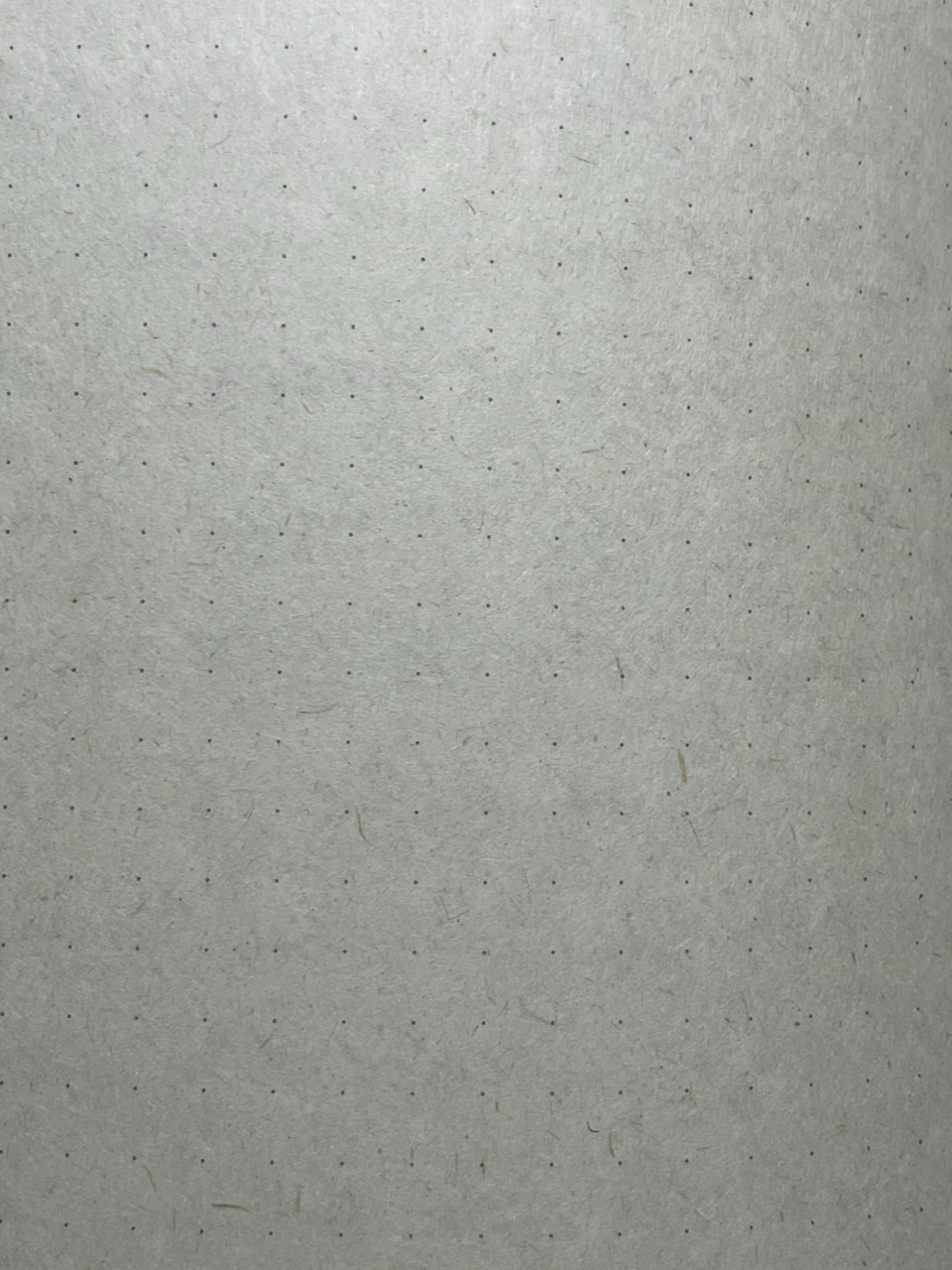 55EC62B7-46FA-40C9-AE4A-975E04EF04FC.jpeg
