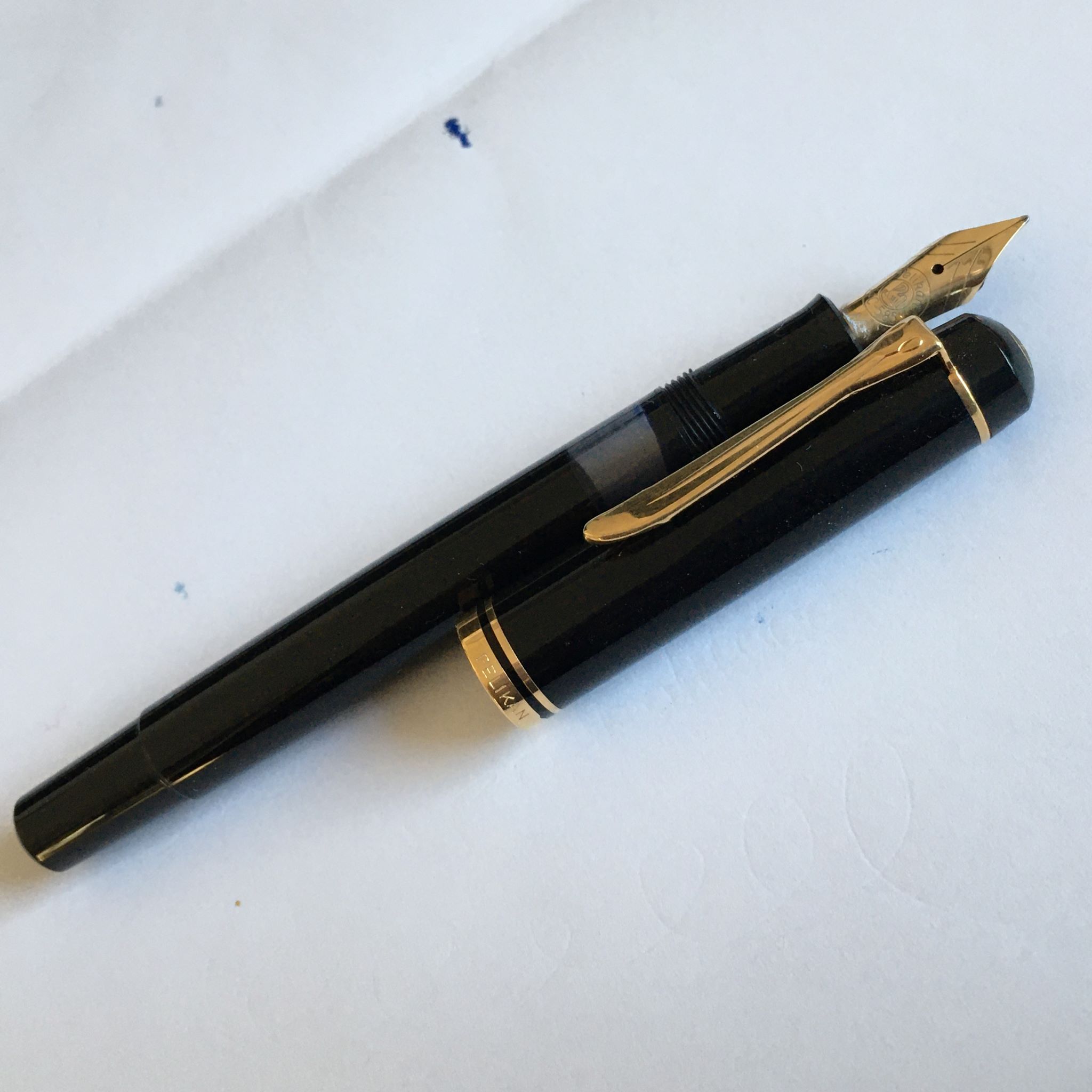 Pelikan3.JPG