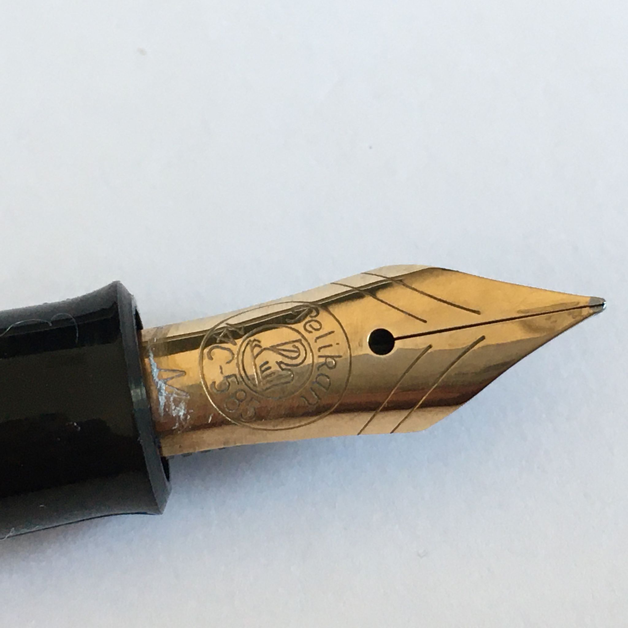 pelikan2.JPG
