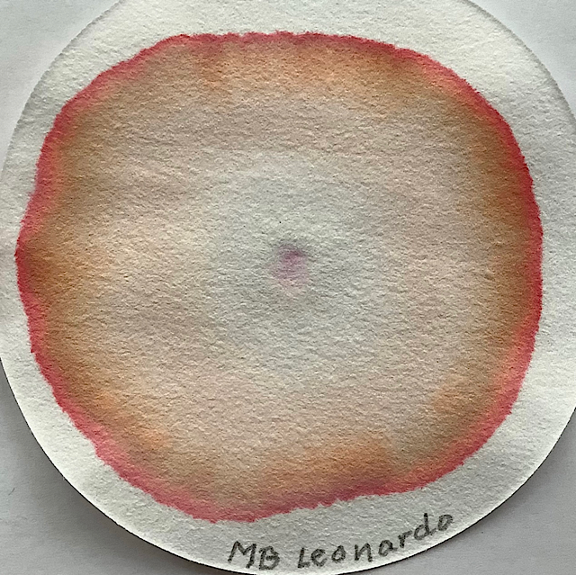 021EA39A-BC1E-454C-A90E-0183025CED1B.png