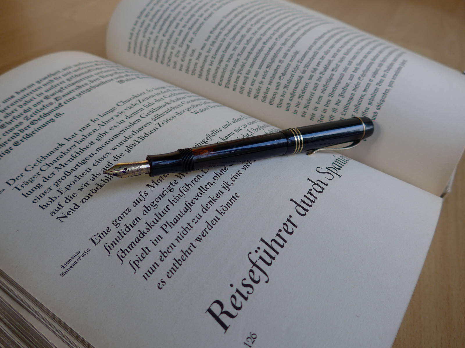 Pinguin_Pelikan_334_einhalb-Rodenberg-In_der_Schmiede_der_Schrift.jpg