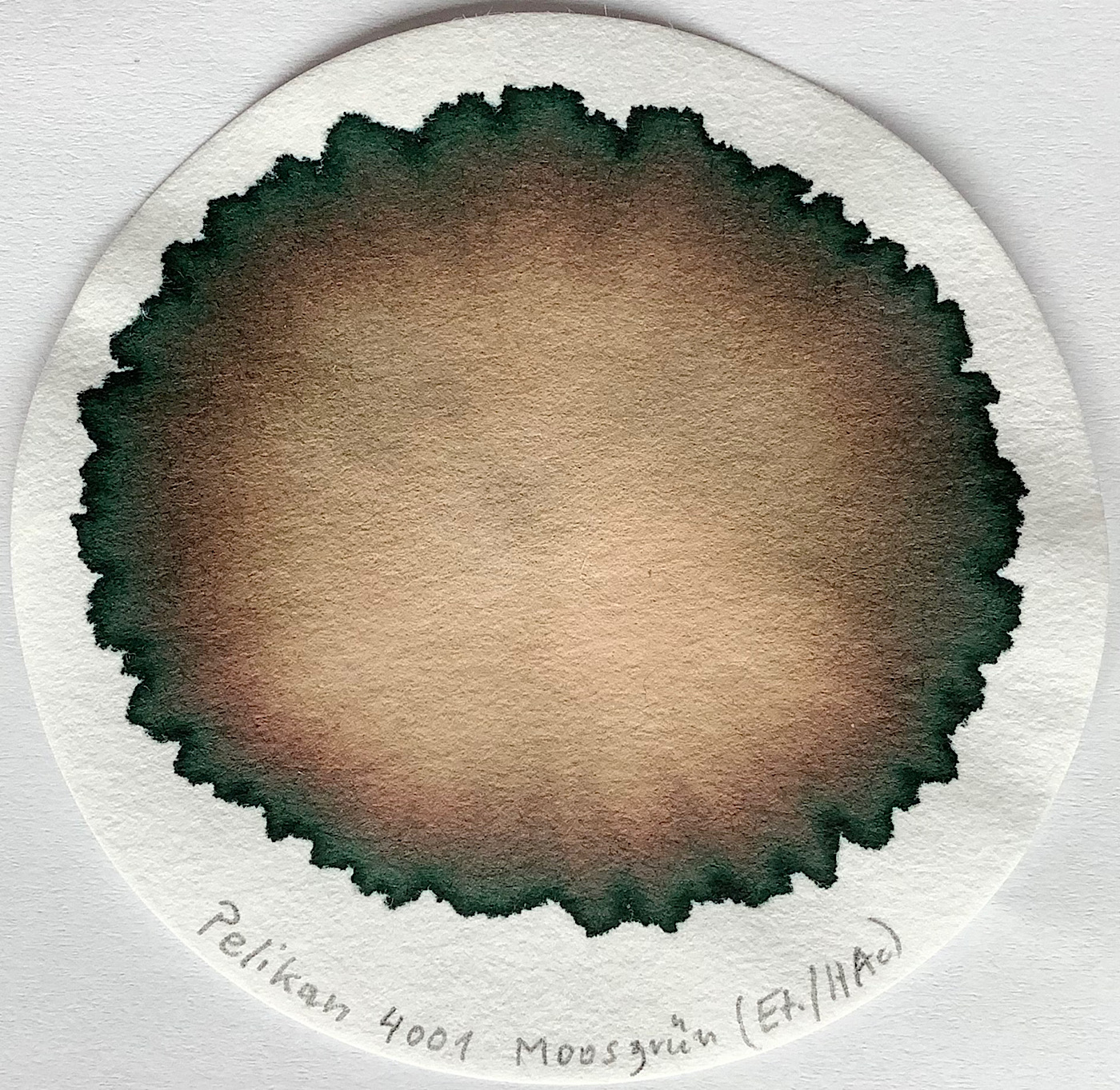 E5423E29-15E2-4ADB-B4EF-FE0E84039204.jpeg