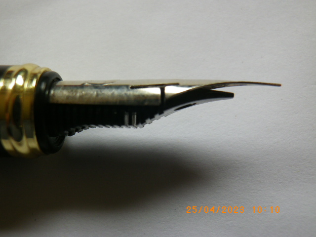 IMGP4797.JPG