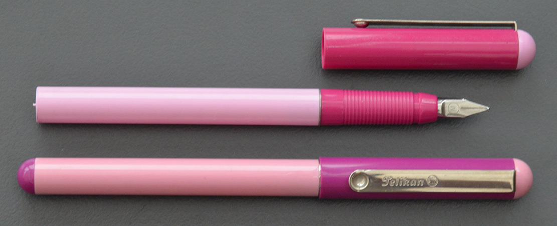 Halbgeschwister haben entweder die gleiche Mutter oder den gleichen Vater. In diesem Fall sind die Mütter der beiden Füller gleich, die Väter unterscheiden sich.