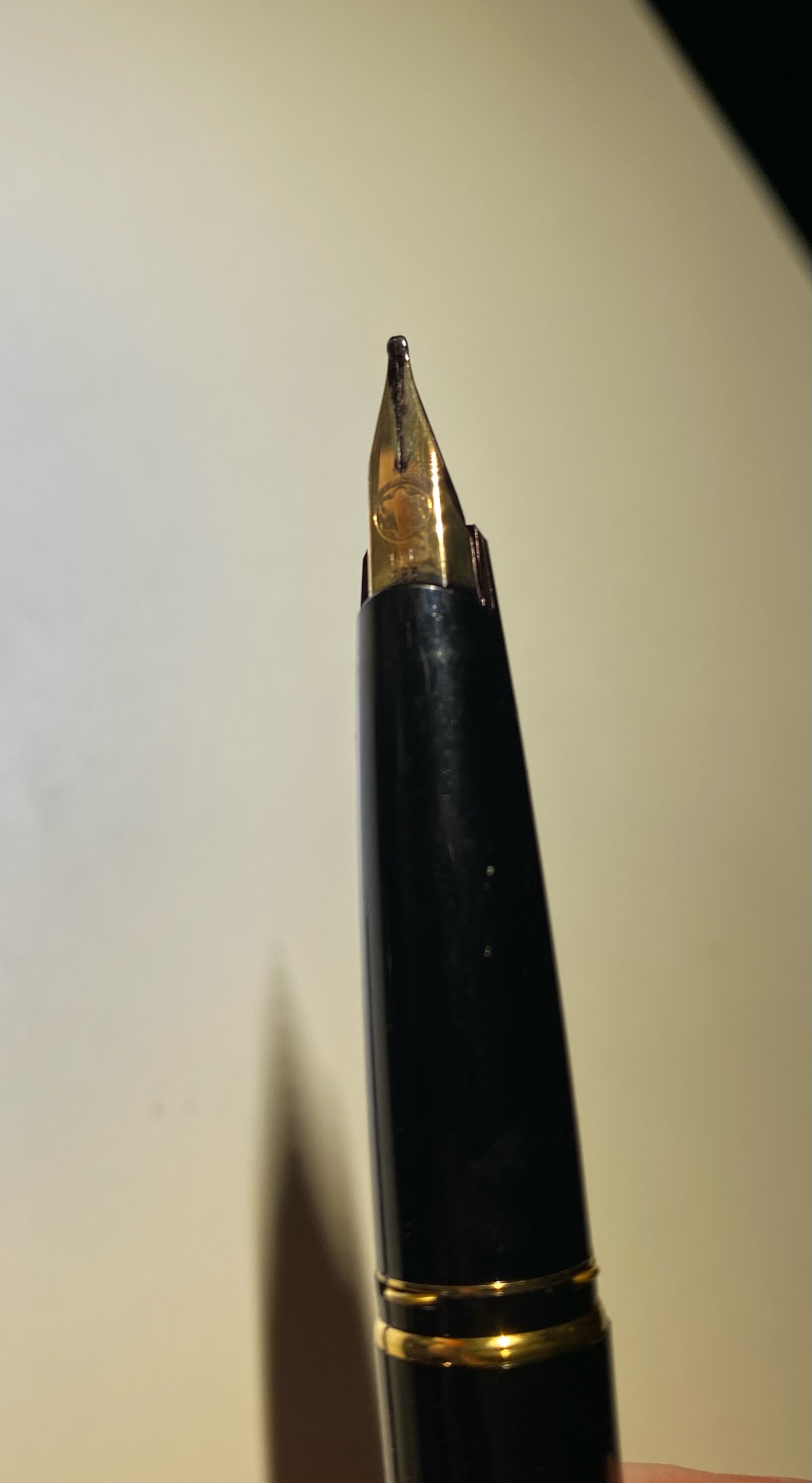 image5 (2).jpeg
