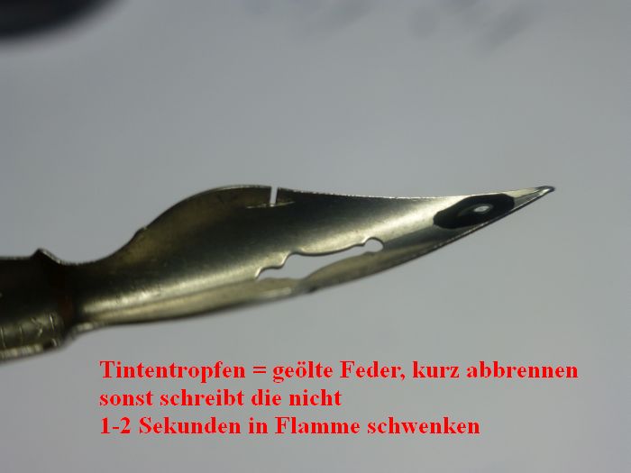 P1010450.jpg