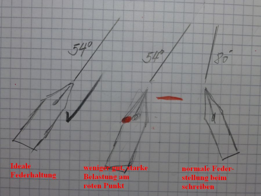 P1010530.jpg
