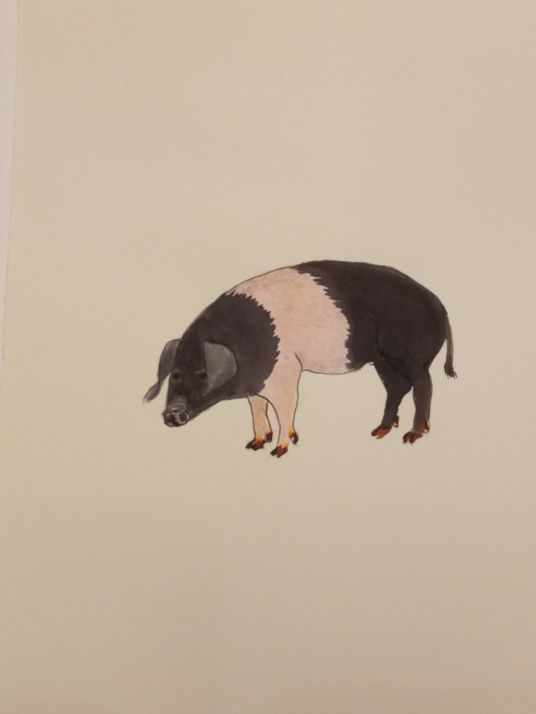 16976666001580.jpg