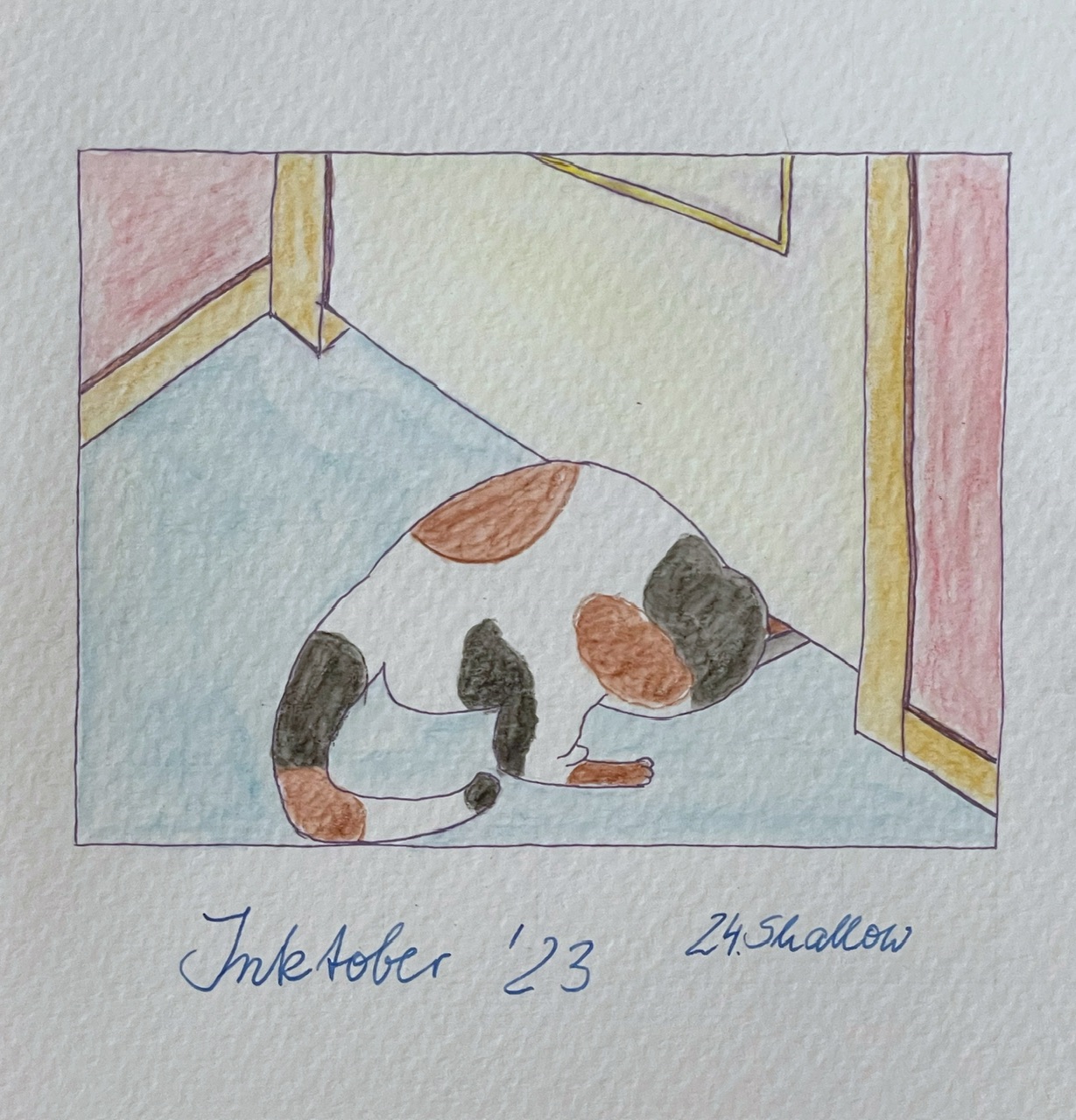 IMG_9269.jpeg